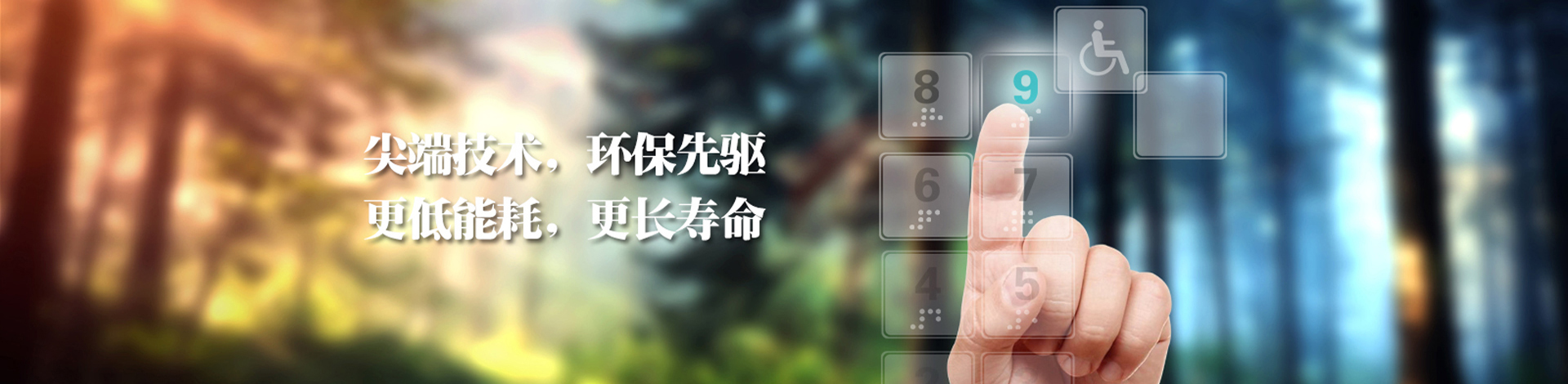 别墅电梯|深圳别墅电梯|家用电梯
